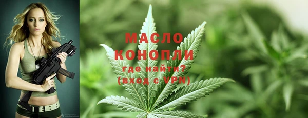 молекула духа Ветлуга