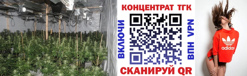 купить наркотики цена  Зима  гидра ссылка  Дистиллят ТГК THC oil 