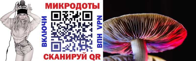 Галлюциногенные грибы ЛСД  даркнет формула  Зима  где продают  